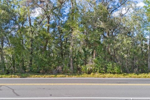 Land in Sorrento, Florida № 1561846 - photo 12