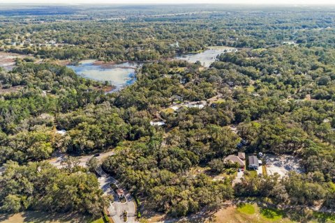 Land in Sorrento, Florida № 1561846 - photo 9
