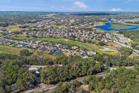 Land in Sorrento, Florida № 1561846 - photo 15