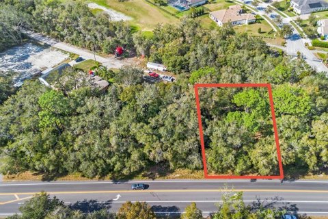 Land in Sorrento, Florida № 1561846 - photo 16