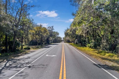 Land in Sorrento, Florida № 1561846 - photo 3