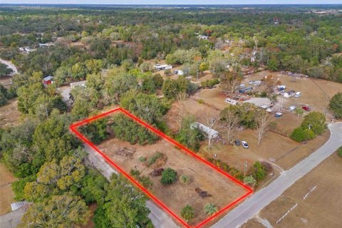 Land in Spring Hill, Florida № 1829107 - photo 4