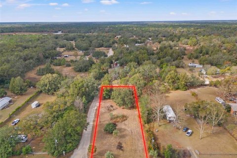 Land in Spring Hill, Florida № 1829107 - photo 6