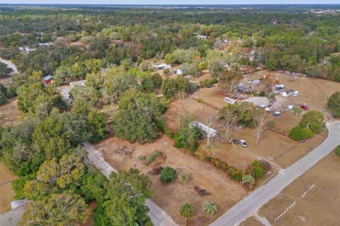 Land in Spring Hill, Florida № 1829107 - photo 3
