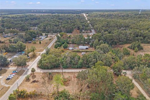 Land in Spring Hill, Florida № 1829107 - photo 7