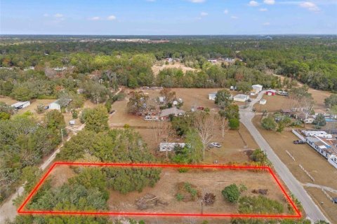 Land in Spring Hill, Florida № 1829107 - photo 12