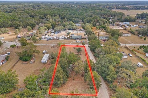 Land in Spring Hill, Florida № 1829107 - photo 10