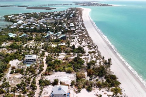 Land in Placida, Florida № 2098241 - photo 12