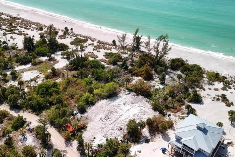 Land in Placida, Florida № 2098241 - photo 7