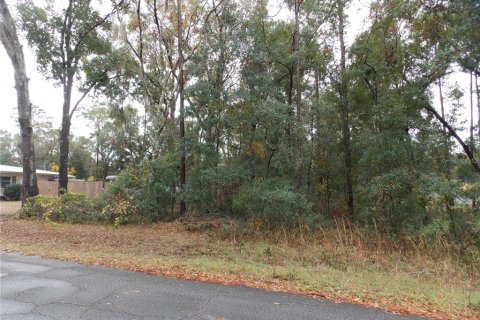 Land in Inverness, Florida № 2162518 - photo 3