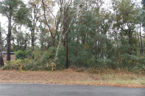 Land in Inverness, Florida № 2162518 - photo 2