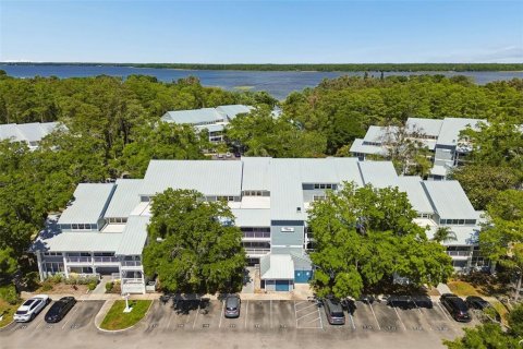 Condo in Palm Harbor, Florida, 2 bedrooms № 2214842