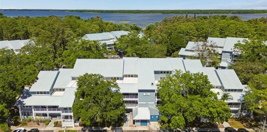 Condo in Palm Harbor, Florida, 2 bedrooms № 2214842
