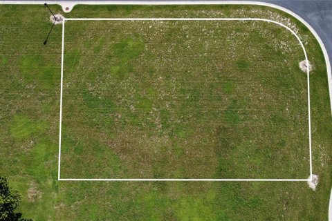 Land in Auburndale, Florida № 1898390 - photo 7