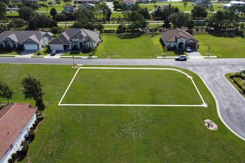 Land in Auburndale, Florida № 1898390 - photo 5