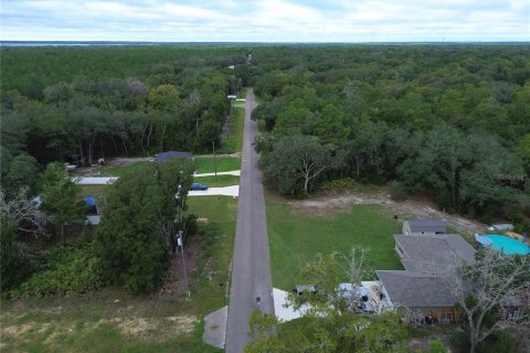 Terreno en venta en Ocklawaha, Florida № 2395586 - foto 4