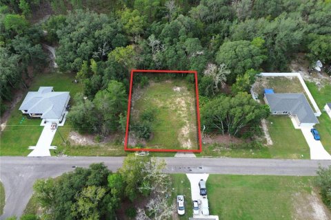 Terreno en Ocklawaha, Florida № 2395586