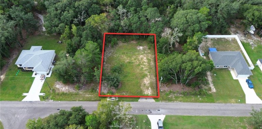 Terreno en Ocklawaha, Florida № 2395586