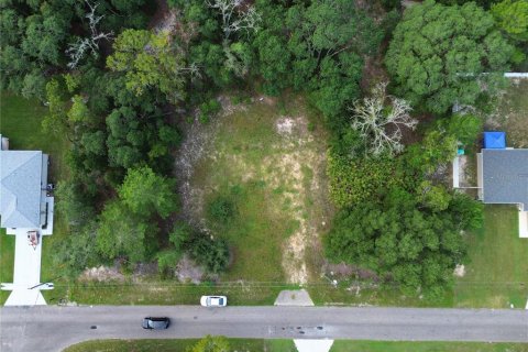 Terreno en venta en Ocklawaha, Florida № 2395586 - foto 2