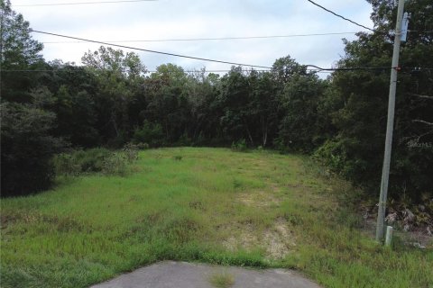 Terreno en venta en Ocklawaha, Florida № 2395586 - foto 3