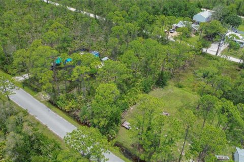 Land in Punta Gorda, Florida № 2233550 - photo 7