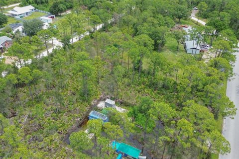 Land in Punta Gorda, Florida № 2233550 - photo 11