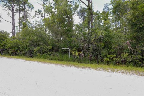 Land in Punta Gorda, Florida № 2233550 - photo 8