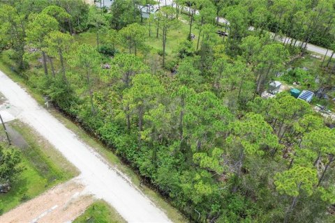 Land in Punta Gorda, Florida № 2233550 - photo 10