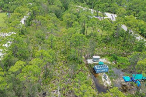 Land in Punta Gorda, Florida № 2233550 - photo 9