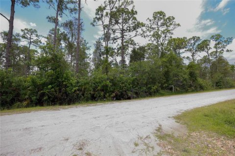 Land in Punta Gorda, Florida № 2233550 - photo 14