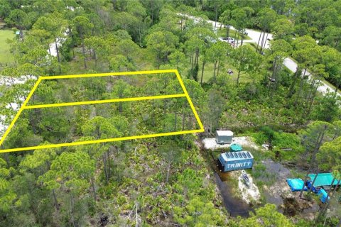 Land in Punta Gorda, Florida № 2233550 - photo 4