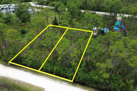 Land in Punta Gorda, Florida № 2233550 - photo 5