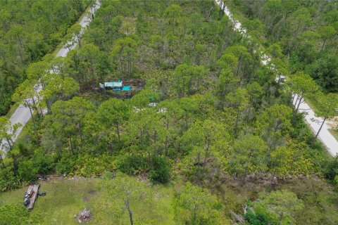 Land in Punta Gorda, Florida № 2233550 - photo 13