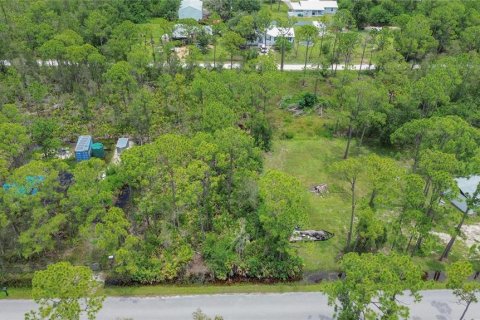 Land in Punta Gorda, Florida № 2233550 - photo 15