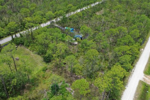Land in Punta Gorda, Florida № 2233550 - photo 6