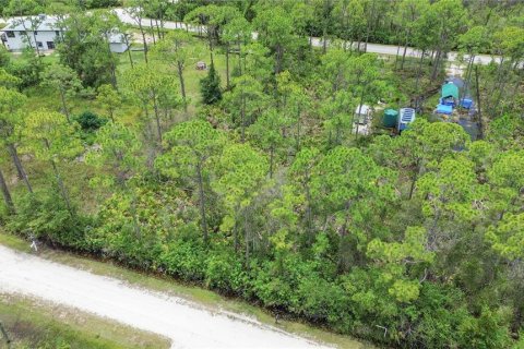 Land in Punta Gorda, Florida № 2233550 - photo 3