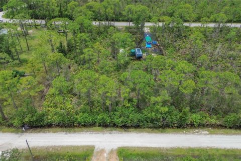 Land in Punta Gorda, Florida № 2233550 - photo 12