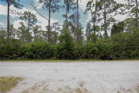 Land in Punta Gorda, Florida № 2233550 - photo 2