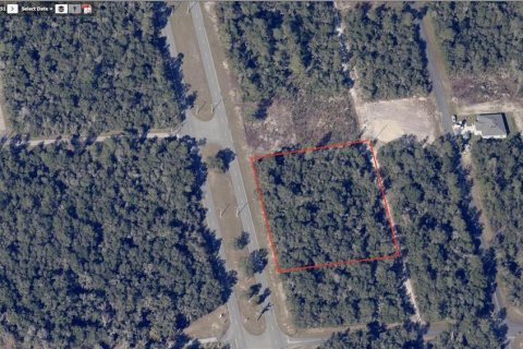 Terrain à Ocala, Floride № 2205882