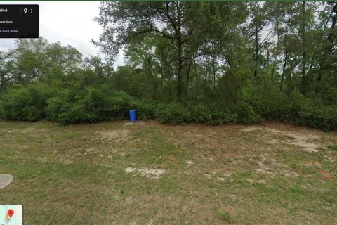 Terrain à vendre à Ocala, Floride № 2205882 - photo 3