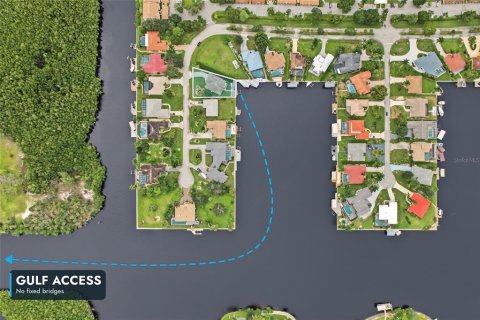 House in Naples, Florida 3 bedrooms, 218.32 sq.m. № 2397101 - photo 4