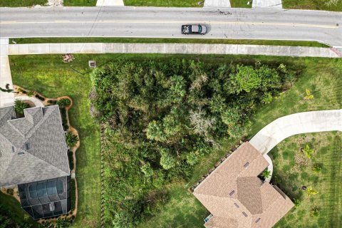 Land in Punta Gorda, Florida № 2161116 - photo 10