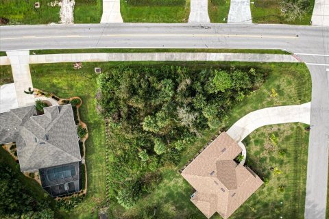 Land in Punta Gorda, Florida № 2161116 - photo 9