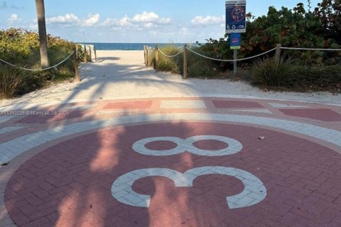 Studio à Condo à Miami Beach, Floride  № 2016797