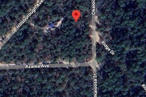 Land in Florahome, Florida № 2224118