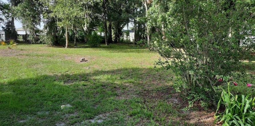 Land in Plant City, Florida № 1824833