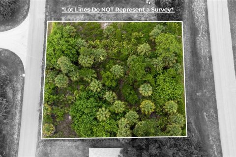 Land in North Port, Florida № 2164002 - photo 6