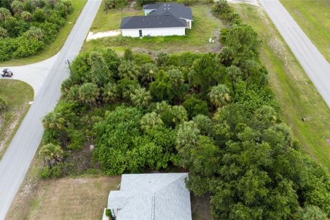 Land in North Port, Florida № 2164002 - photo 5