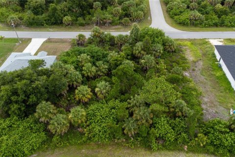 Land in North Port, Florida № 2164002 - photo 3