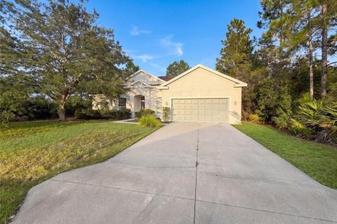 Villa ou maison à Palm Coast, Floride 4 chambres, 238.02 m2 № 2354874
